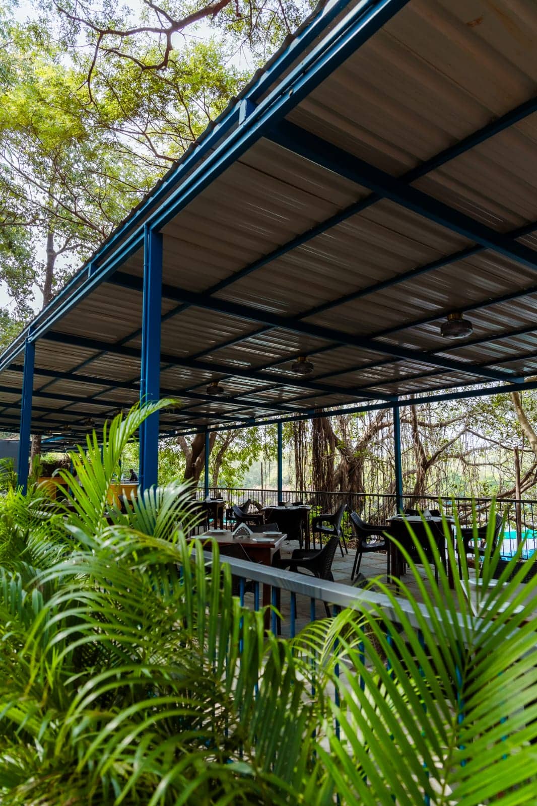 Aguada Riverside, Candolim, Goa | Zomato
