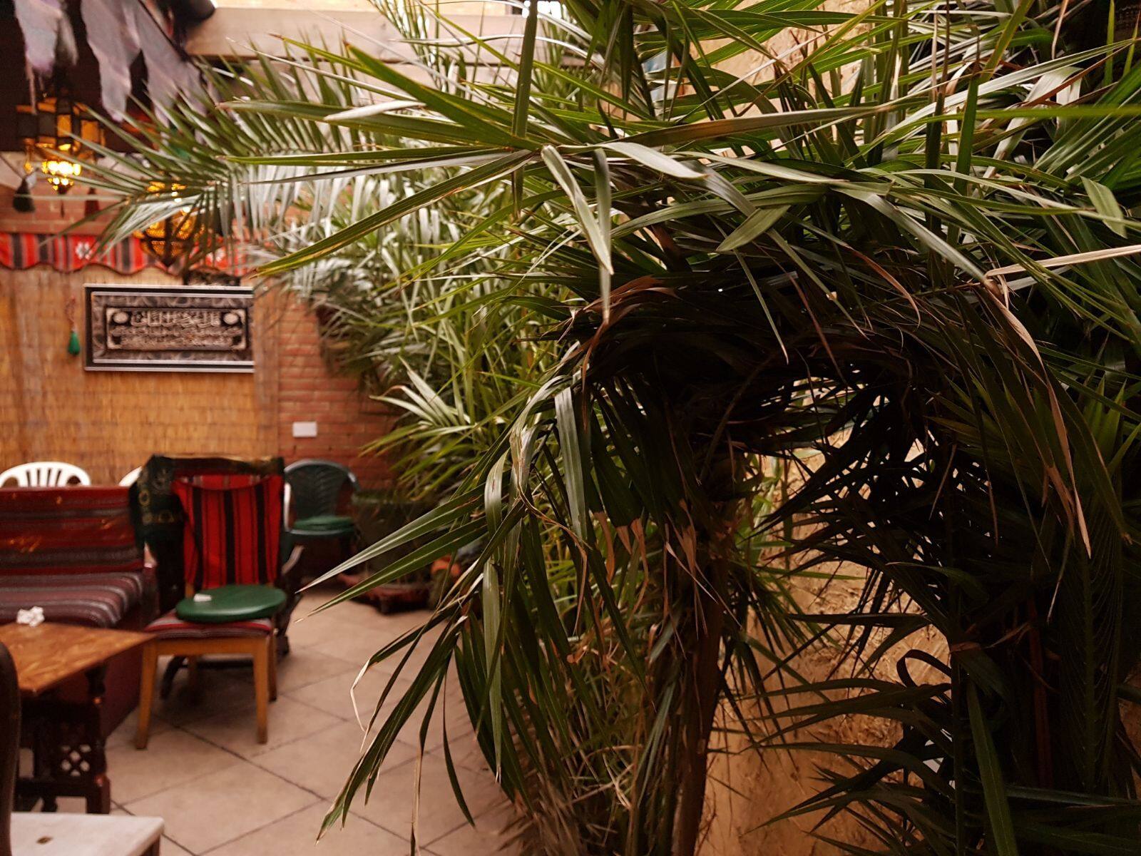 Shisha Garden Grill, Bethnal Green, London Zomato