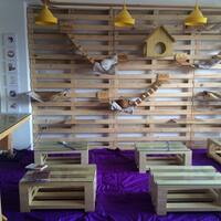 Cat Cafe Manila Sikatuna Village Quezon City Zomato Cat Cafe Manila Sikatuna Village Quezon City Zomato