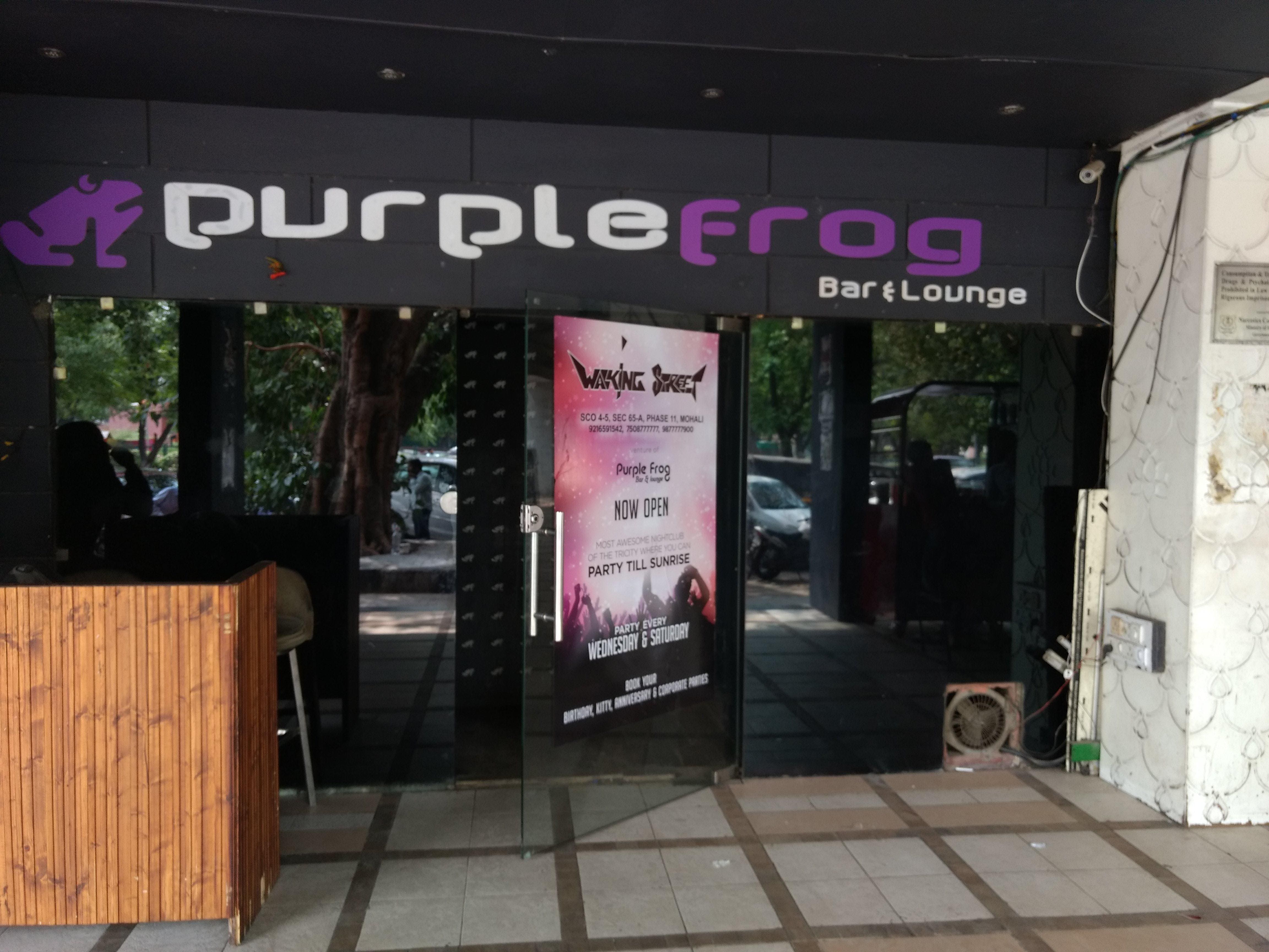 Photos of Purple Frog, Pictures of Purple Frog, Chandigarh