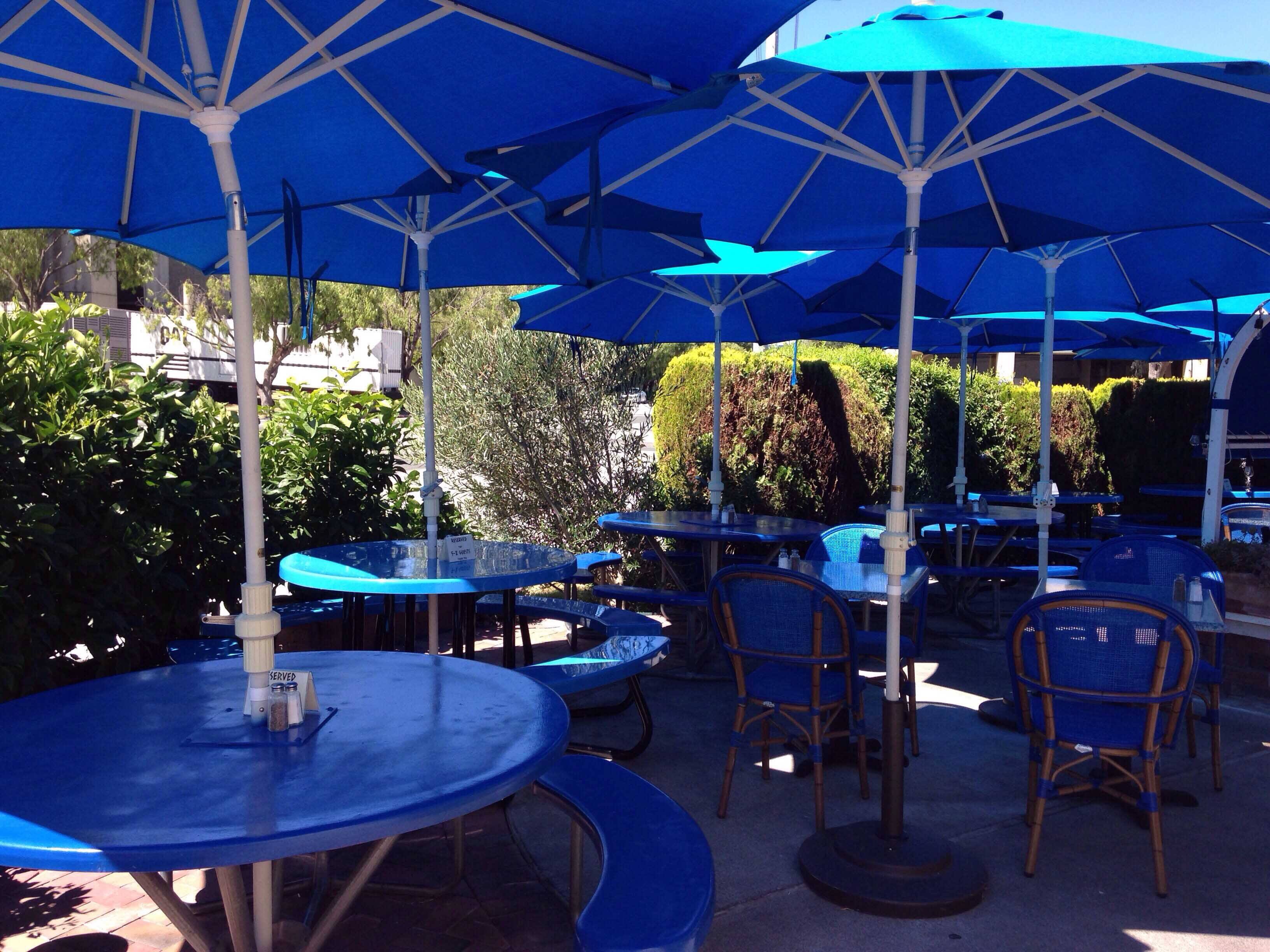 Menu of Athena Grill, Santa Clara, Santa Clara