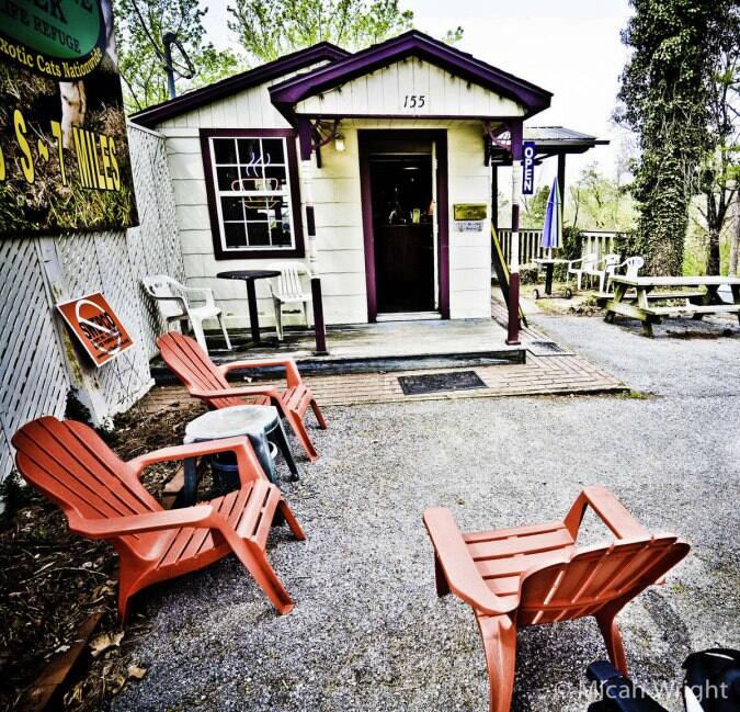 Roscoe's Music & Expresso Cafe, Eureka Springs, Eureka Springs