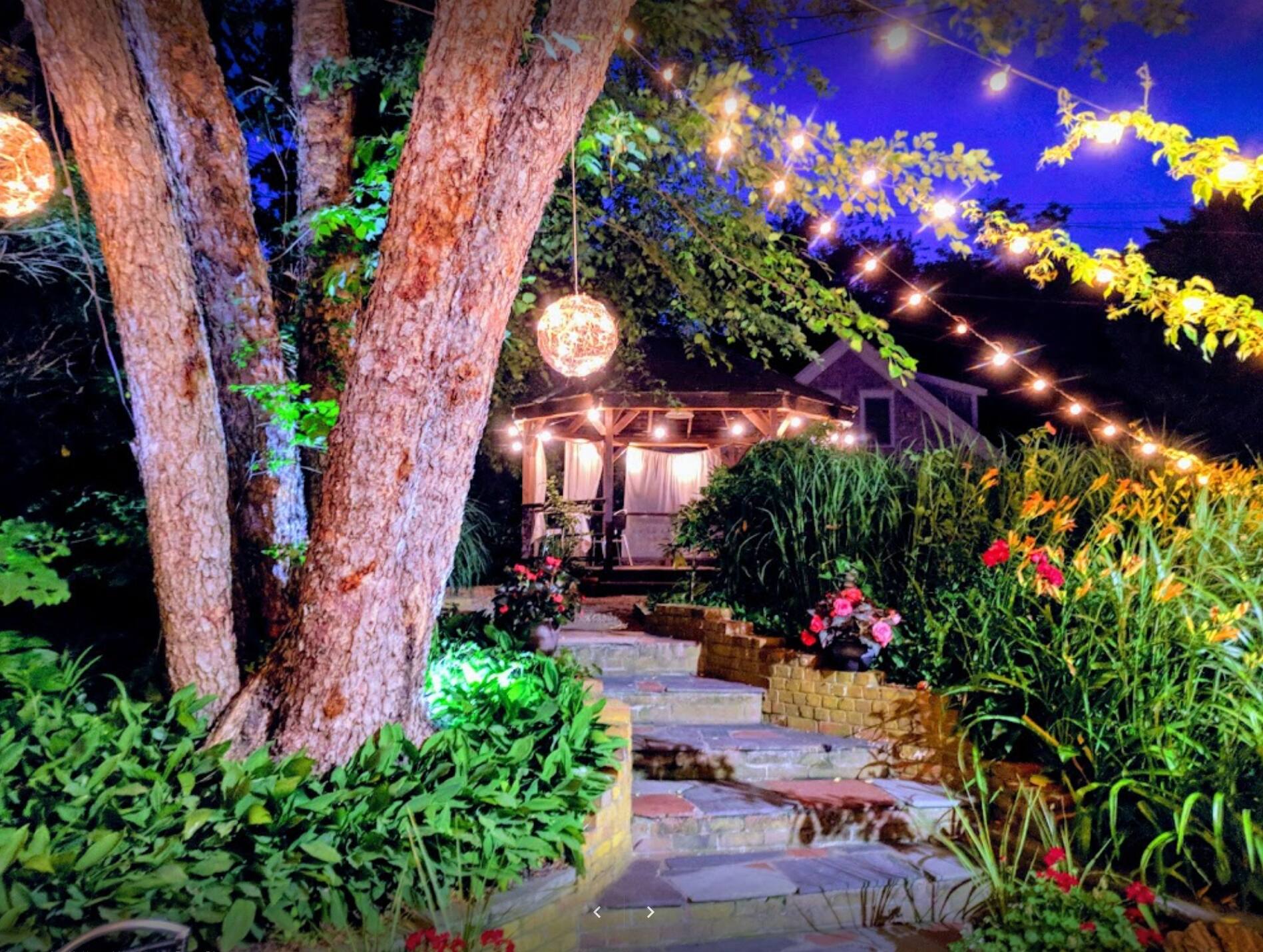 Ciro & Sal's, Provincetown, Cape Cod Zomato