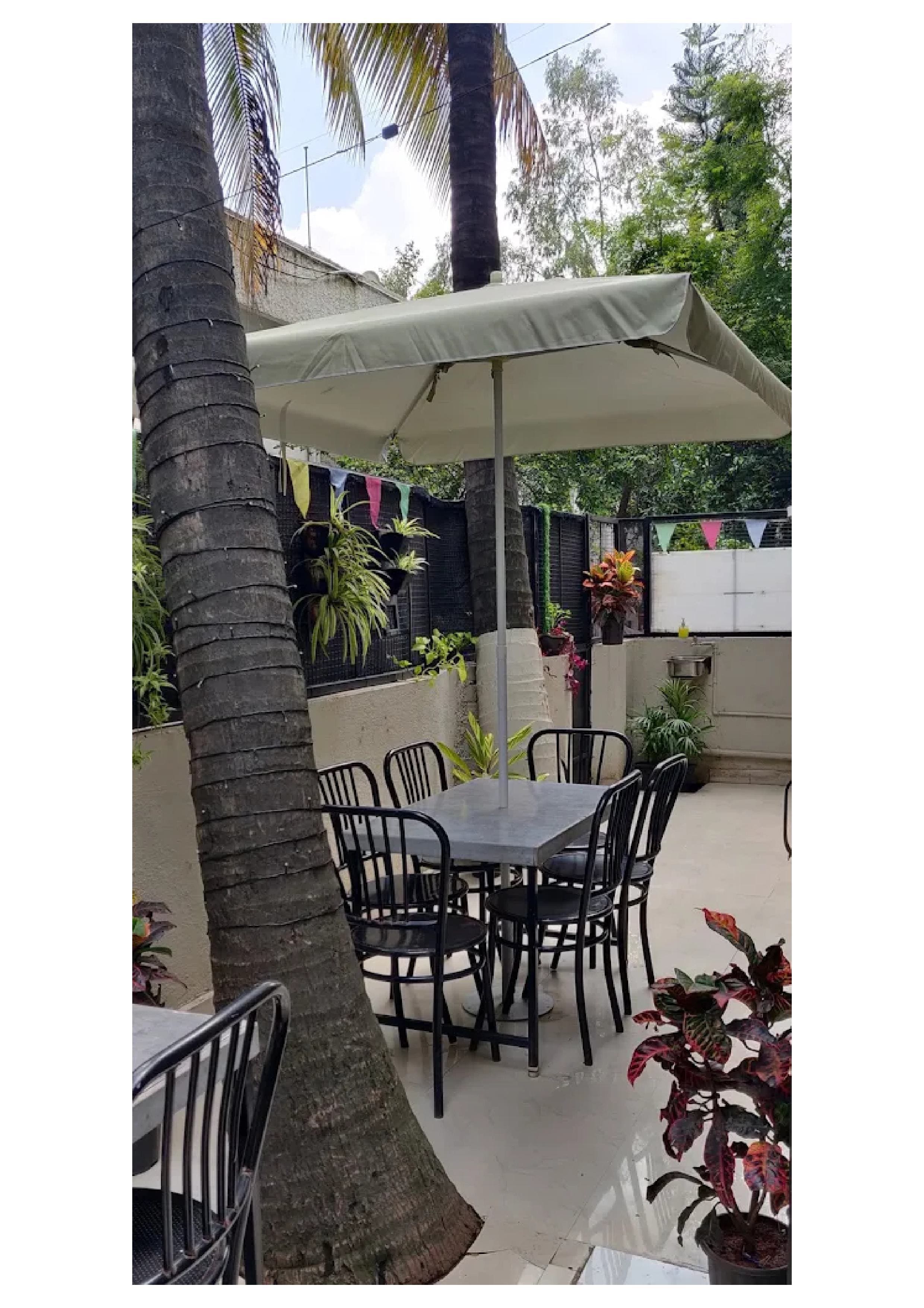 mexican restaurants, mexican food, mexican restaurants near me, tacos, burritos, nachos, quesadillas, salsa, guacamole - Taco Alfresco - Mexican Eatery - img5