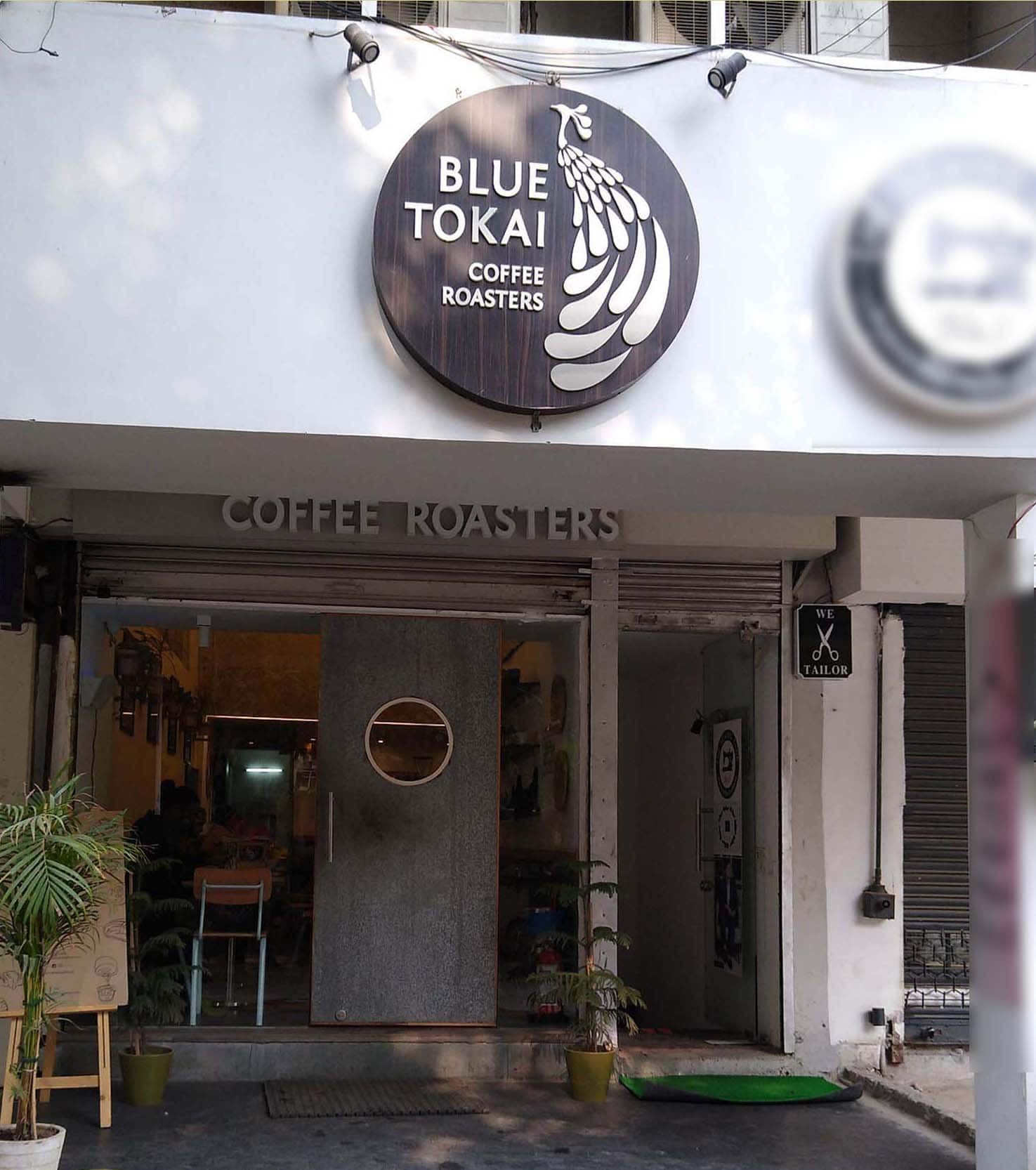 blue tokai review