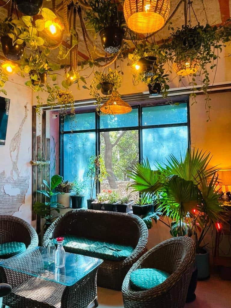 Alag Aasmaan - The Travel Cafe, FC Road, Pune | Zomato