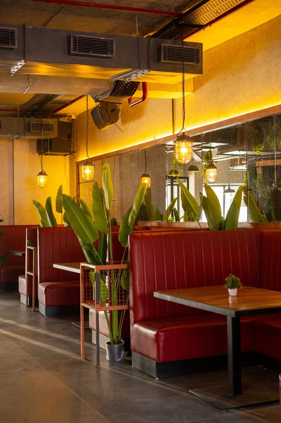 pet friendly cafes, pet friendly restaurants, dog friendly cafes, dog friendly restaurants, pet friendly dining, outdoor cafes, pet friendly dining spaces, cafes with pets, pet friendly brunch - Brewdog Chandigarh - img5