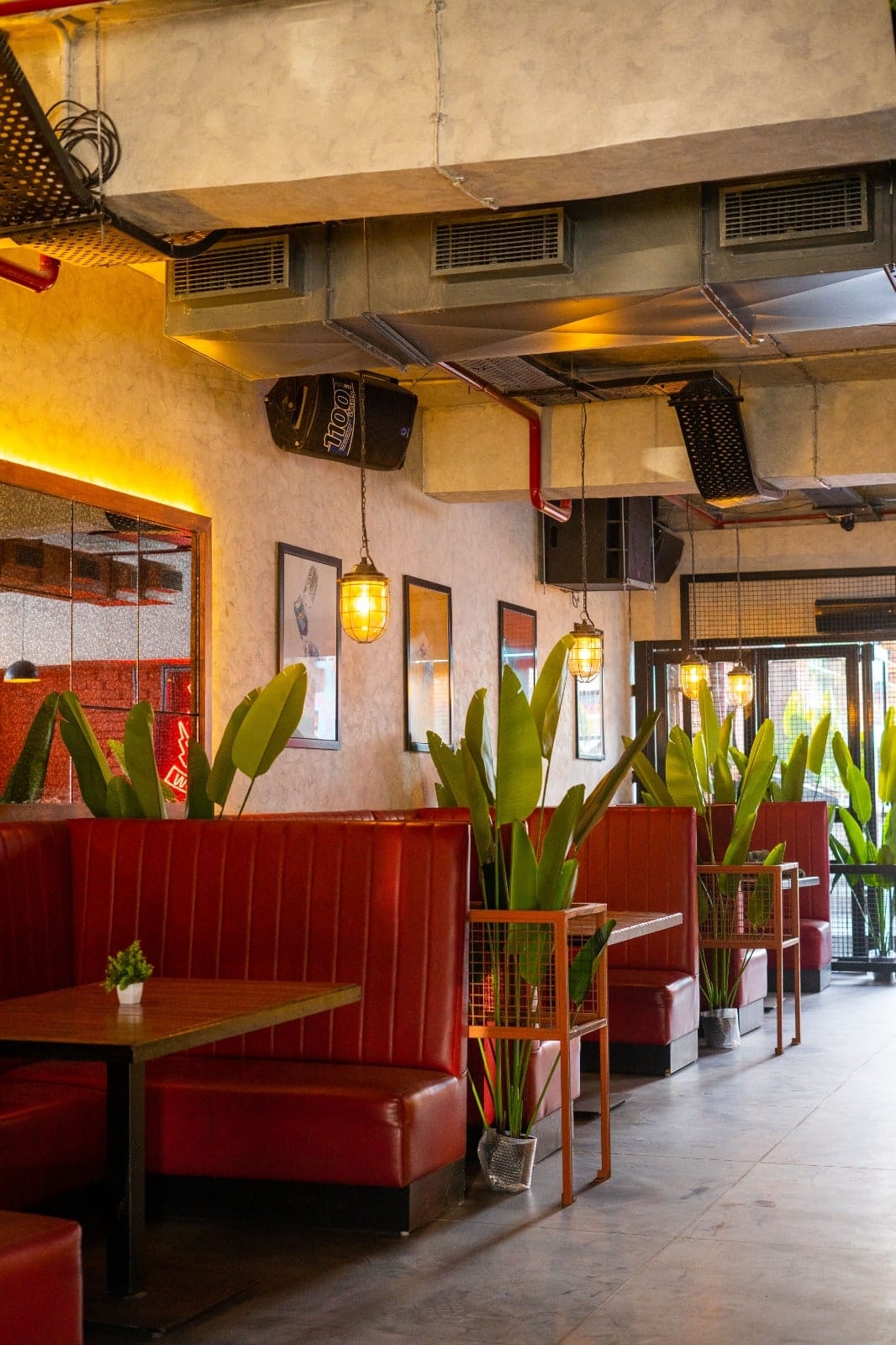 pet friendly cafes, pet friendly restaurants, dog friendly cafes, dog friendly restaurants, pet friendly dining, outdoor cafes, pet friendly dining spaces, cafes with pets, pet friendly brunch - Brewdog Chandigarh - img2