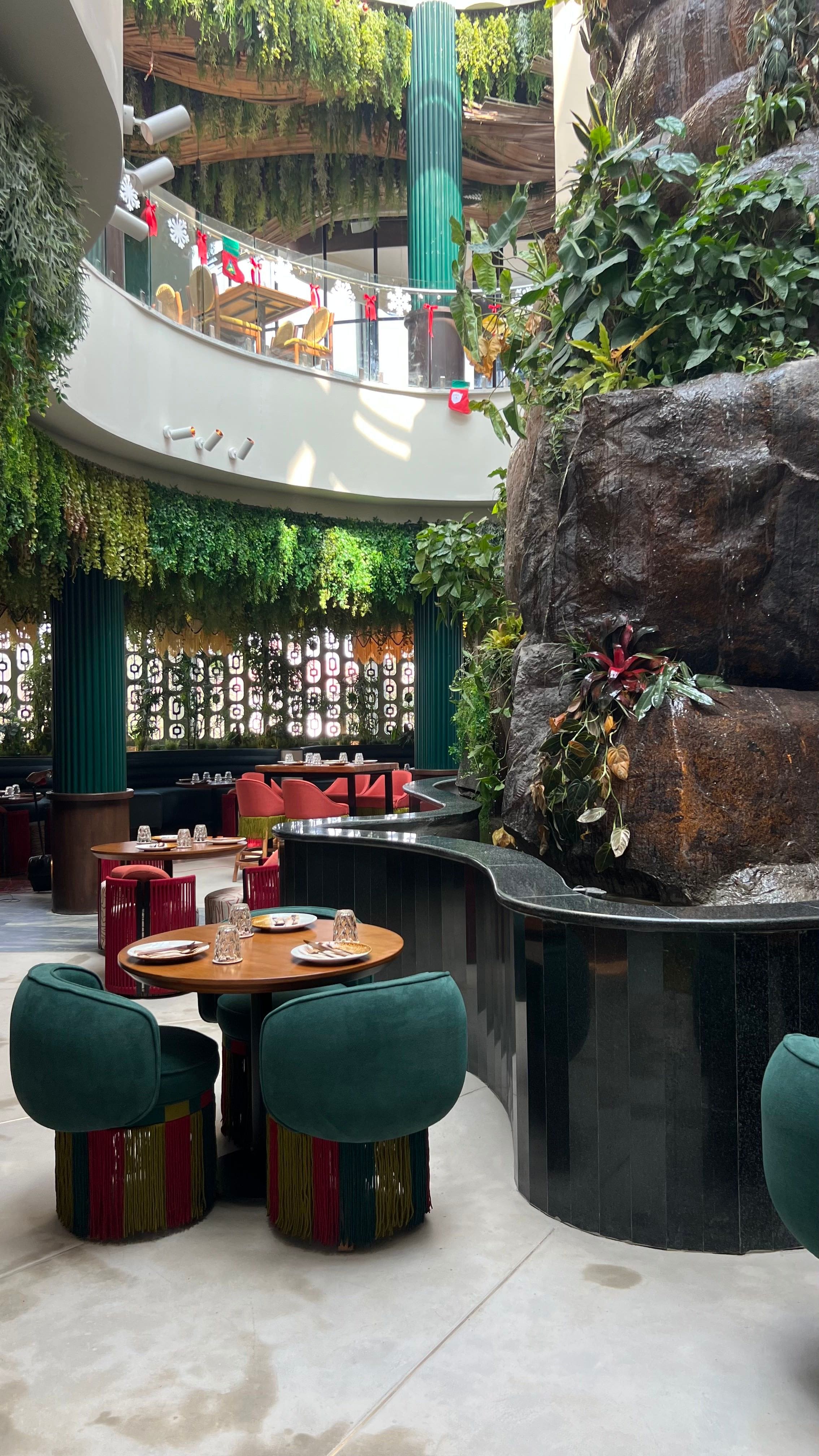 dining offers, restaurant offers, dining deals, restaurant deals, restaurant discounts, dining discounts, food offers, dining out offers, restaurant offers near me, best restaurant deals - Tambo - img4
