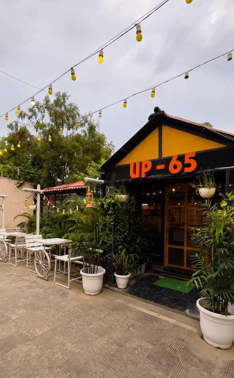 UP-65 image