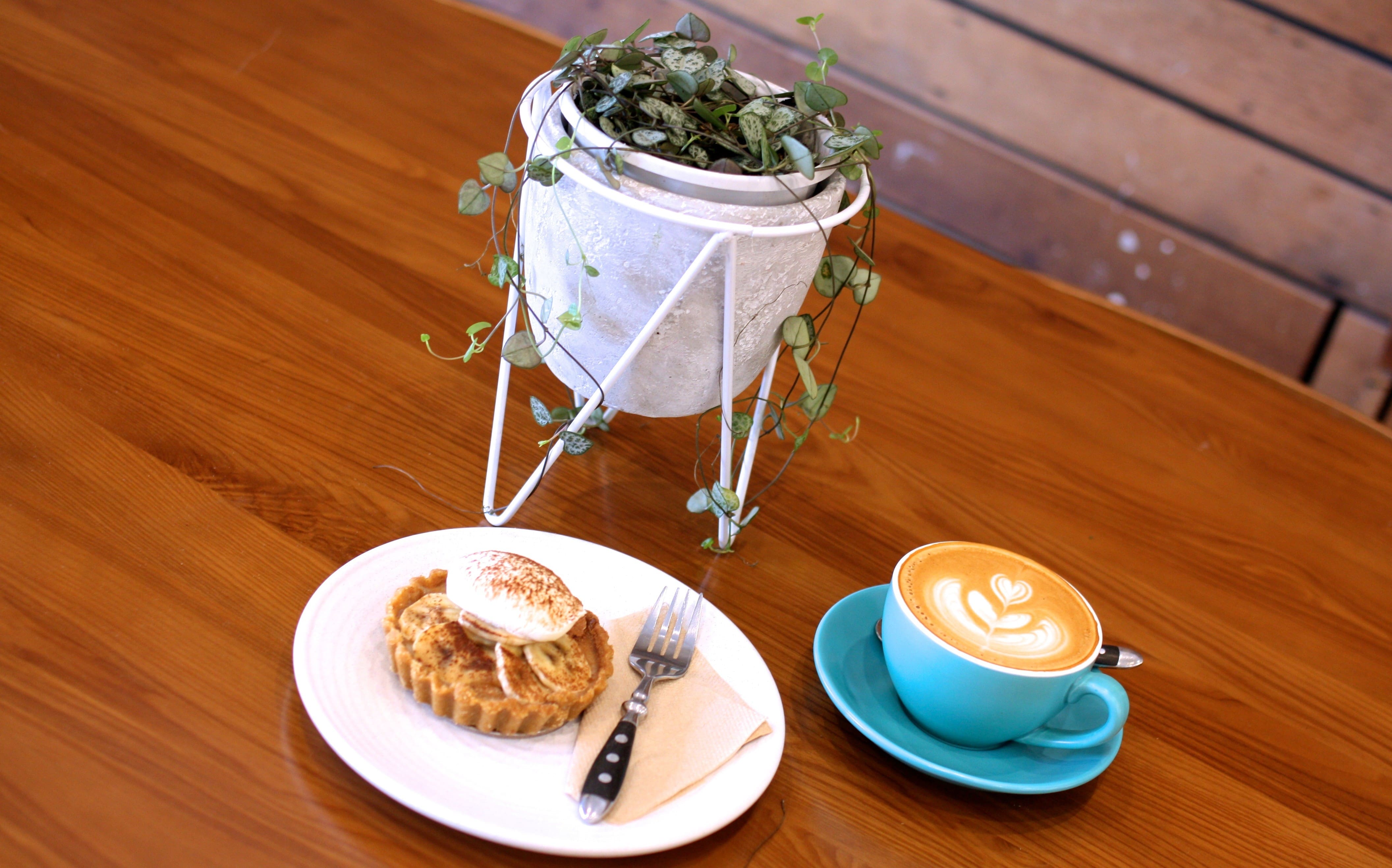 Evergreen Speciality Coffee, Kew East, Melbourne Zomato