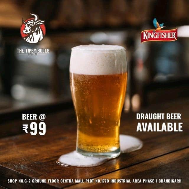 kingfisher beer pouch