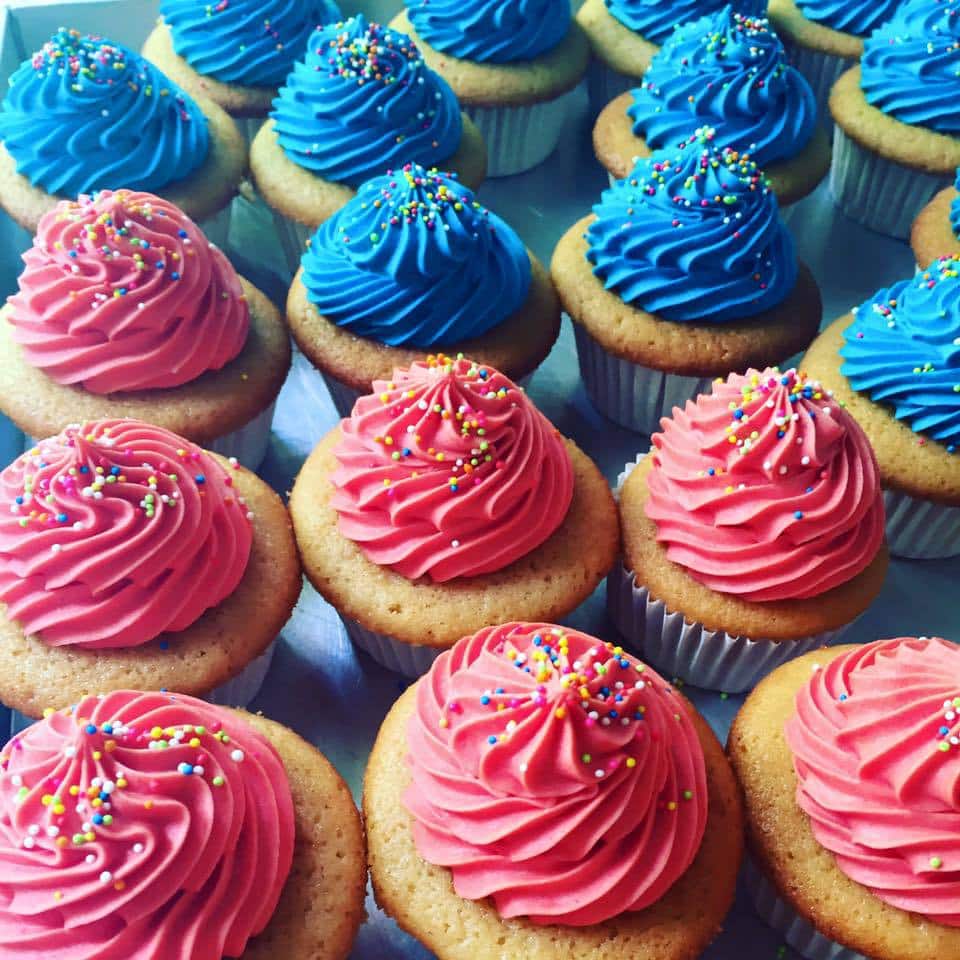 Sponge Kollupitiya Cakes at Veronica Jones blog