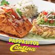 Pappasitos Cantina Shavano Park San Antonio Pappasitos Cantina Shavano Park San Antonio