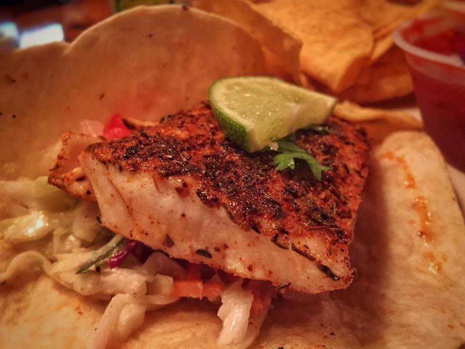 Gator Bites Tail & Ale, Fort Myers, Fort Myers Zomato