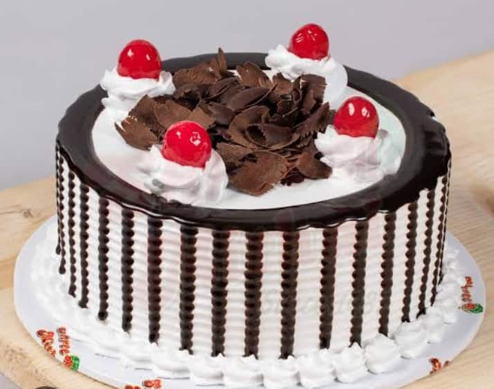 Bakery Point, Vijay Nagar, Indore | Zomato