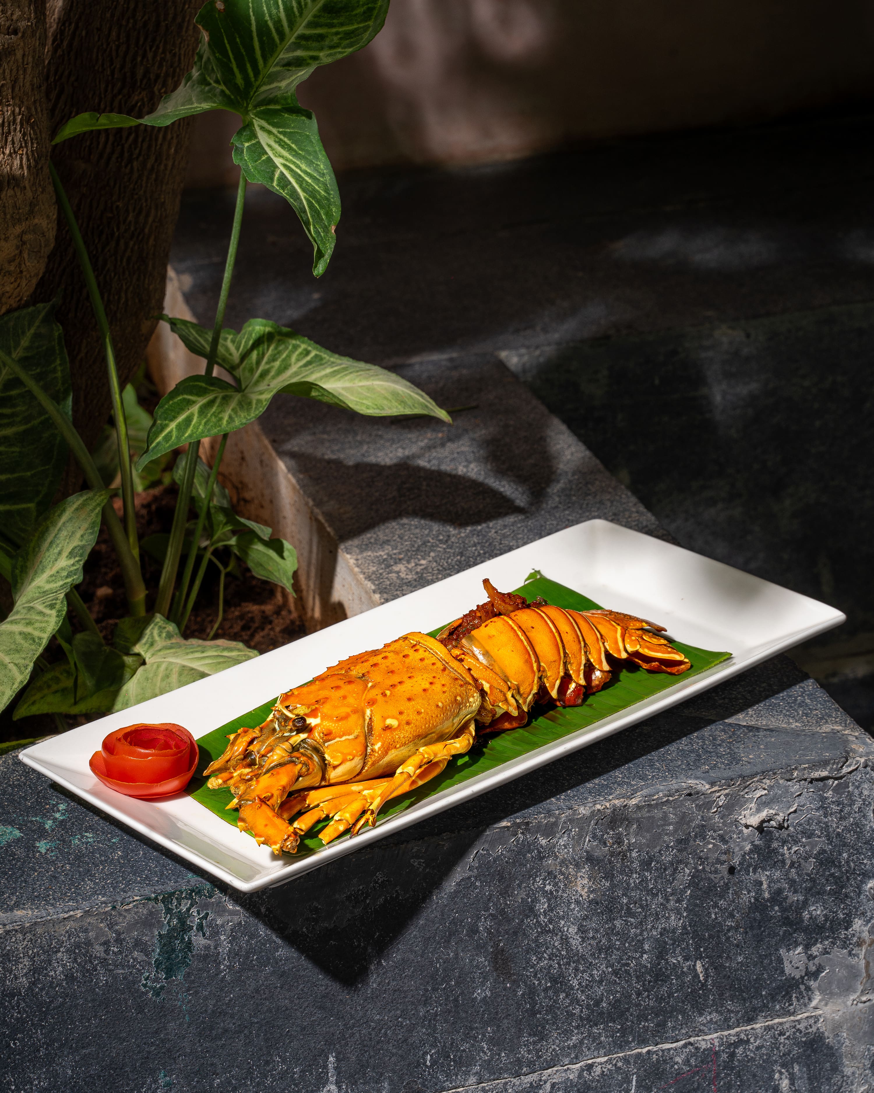 dinner restaurants, dinner spots, dinner dining, fine dining restaurants, casual dining restaurants, rooftop restaurants, family restaurants, romantic restaurants, late night restaurants - Kadali Kitchen - img2