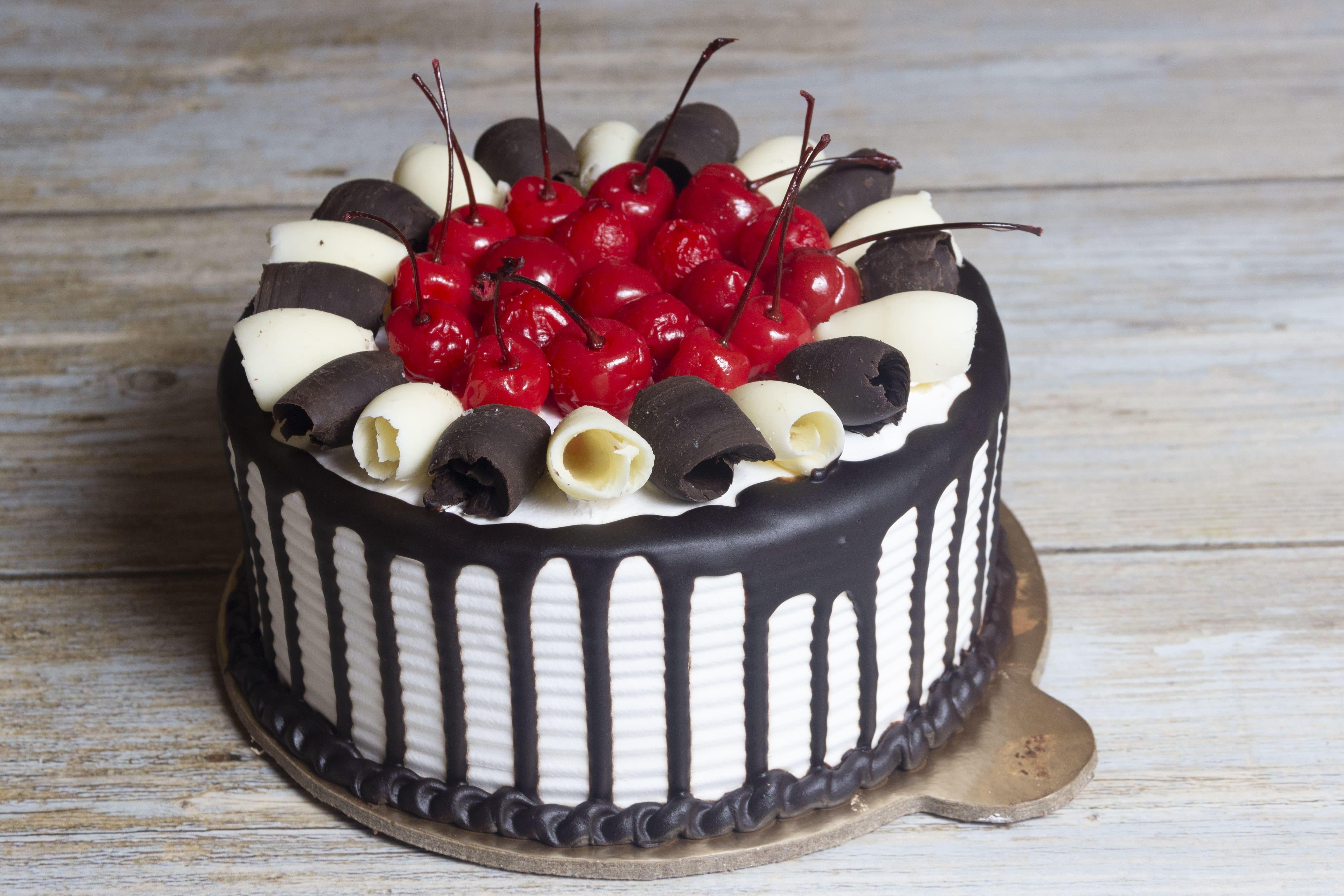 Just Cake 'N' Bake, PPR Market, Jalandhar Zomato