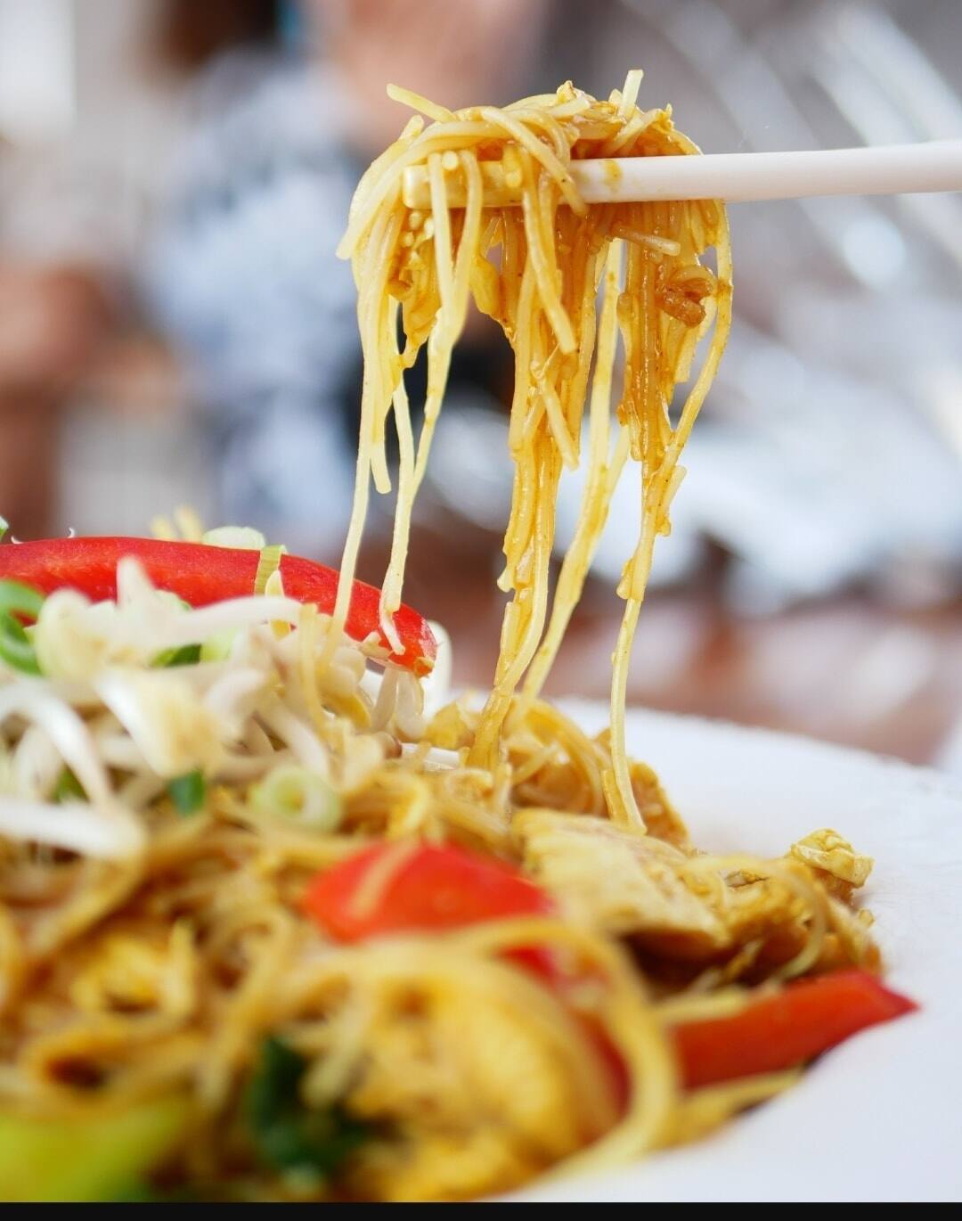 Noodles Junction, Shastri Nagar, Meerut Zomato