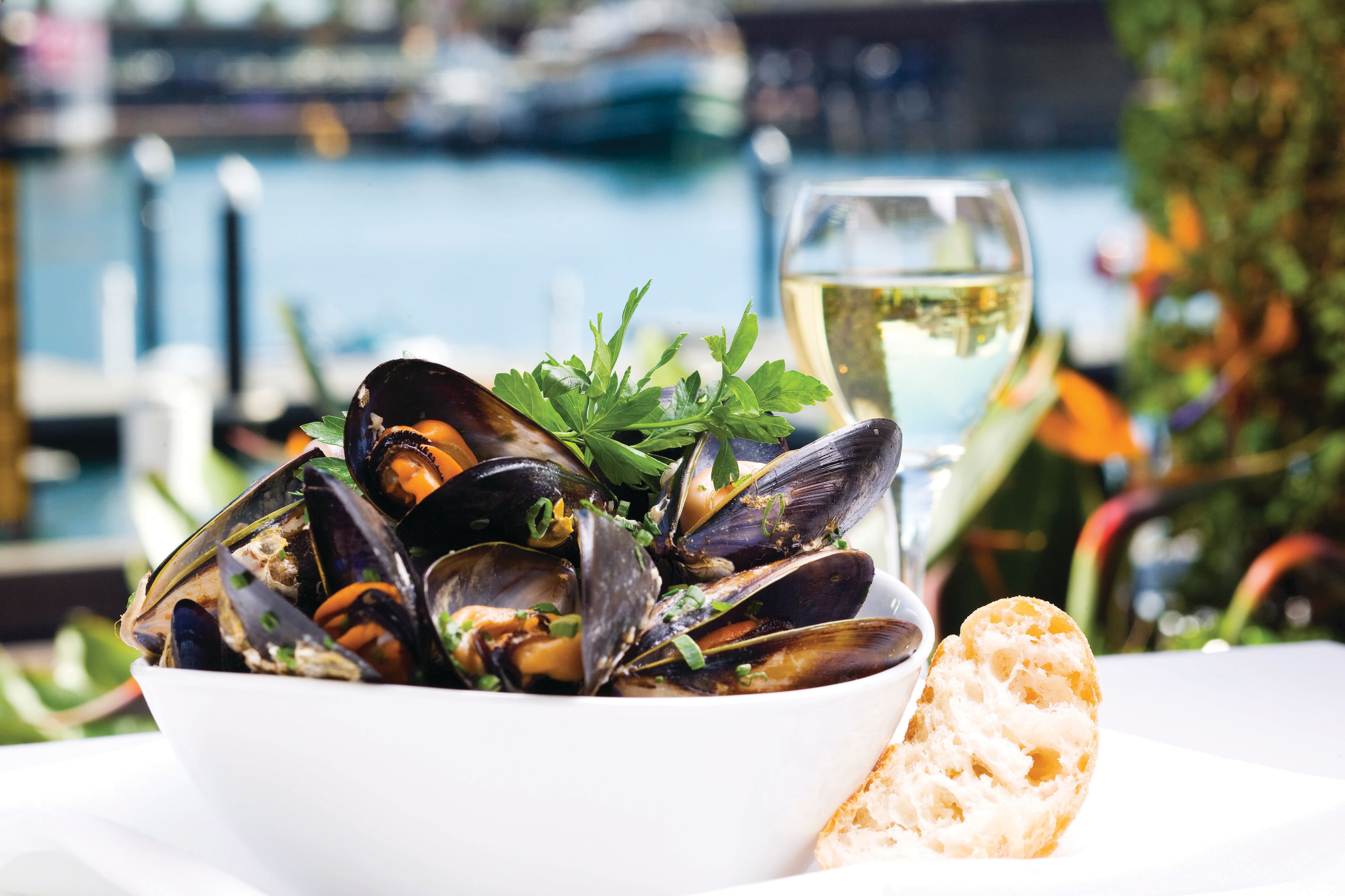 Nick's Seafood Restaurant, Darling Harbour, Sydney Zomato