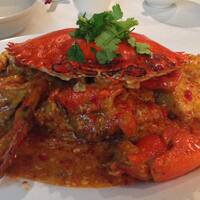 Sung S Kitchen Franklin Street Sung S Kitchen Franklin Street