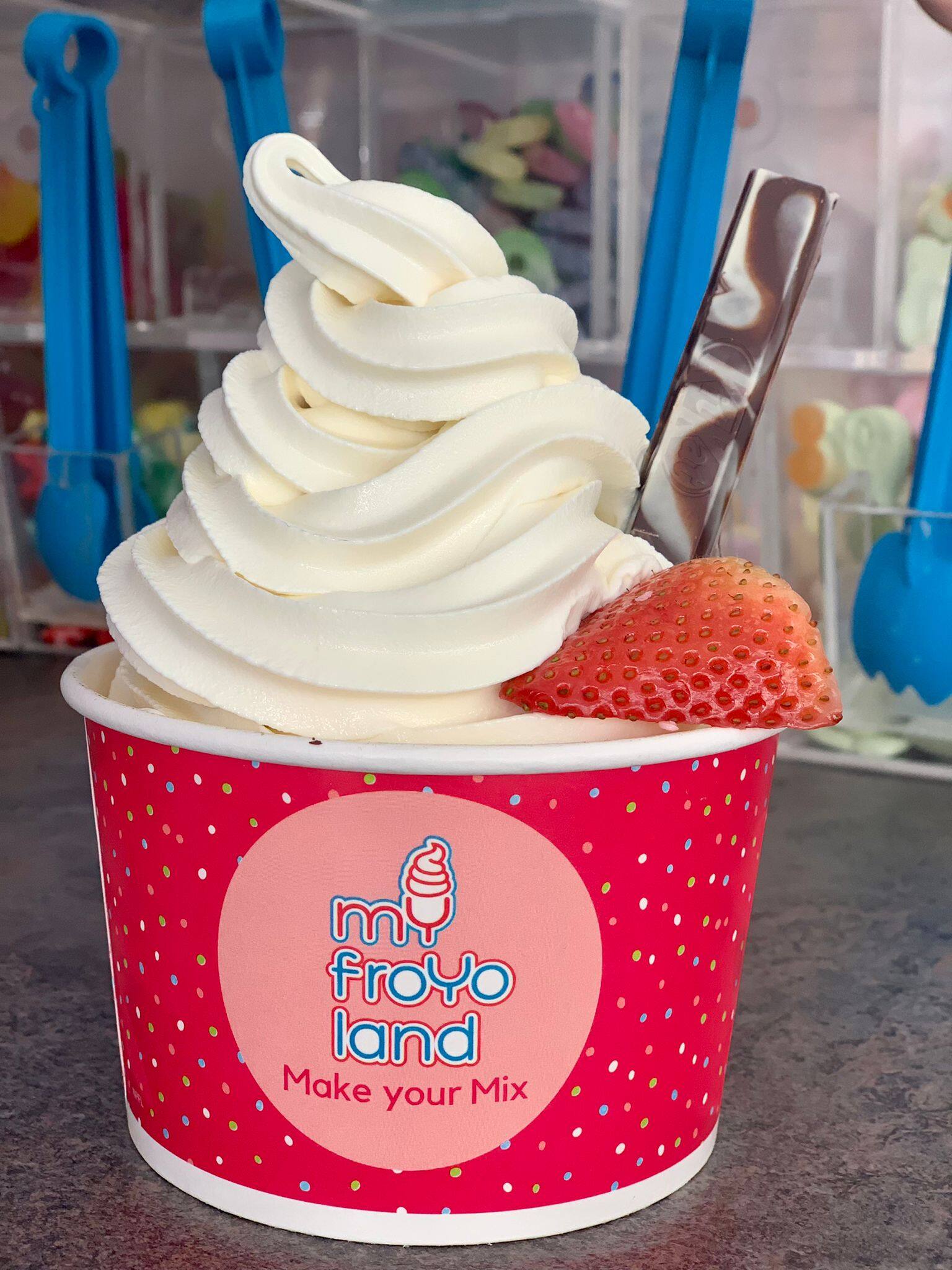 Myfroyoland Premium Frozen Yoghurt, Besant Nagar order online Zomato