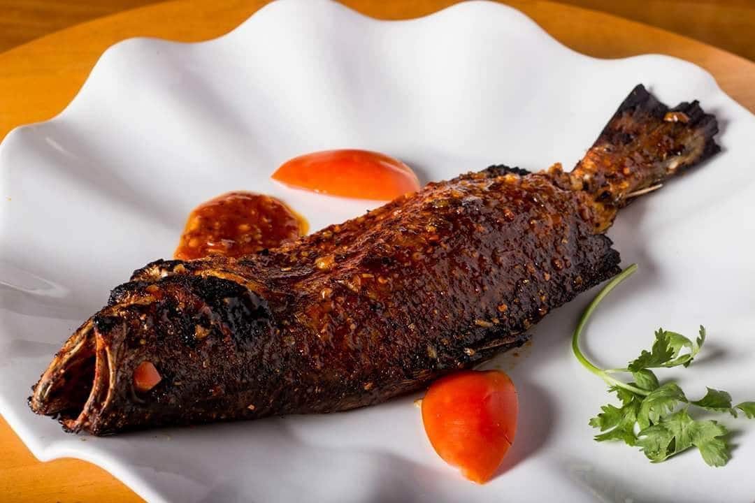 Mexican restaurants, Mexican food, Mexican restaurants near me, tacos, burritos, nachos, quesadillas, salsa, guacamole - KK's Fusion - img3