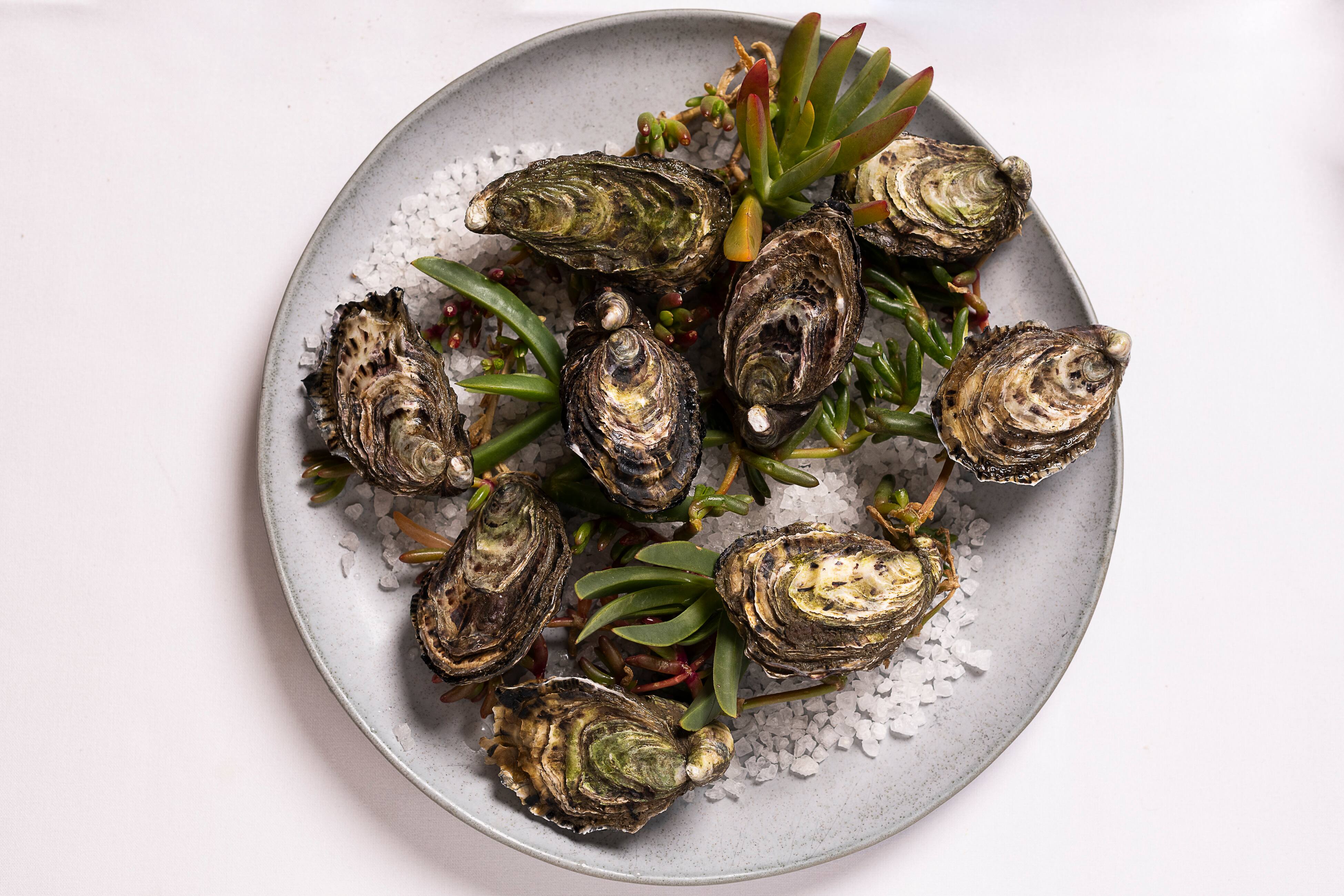 Middle Brighton Baths Restaurant, Brighton, Melbourne