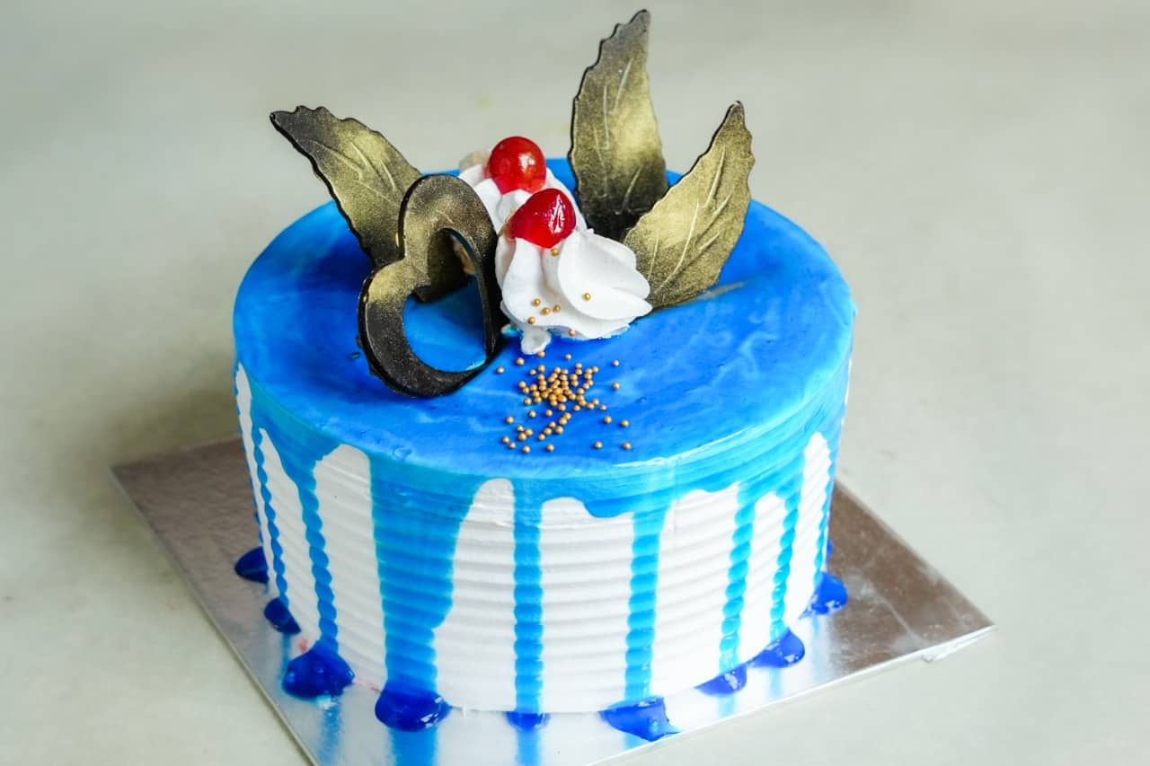 Variety The Dessert Cake Shop, Naya Bazaar, Gwalior | Zomato