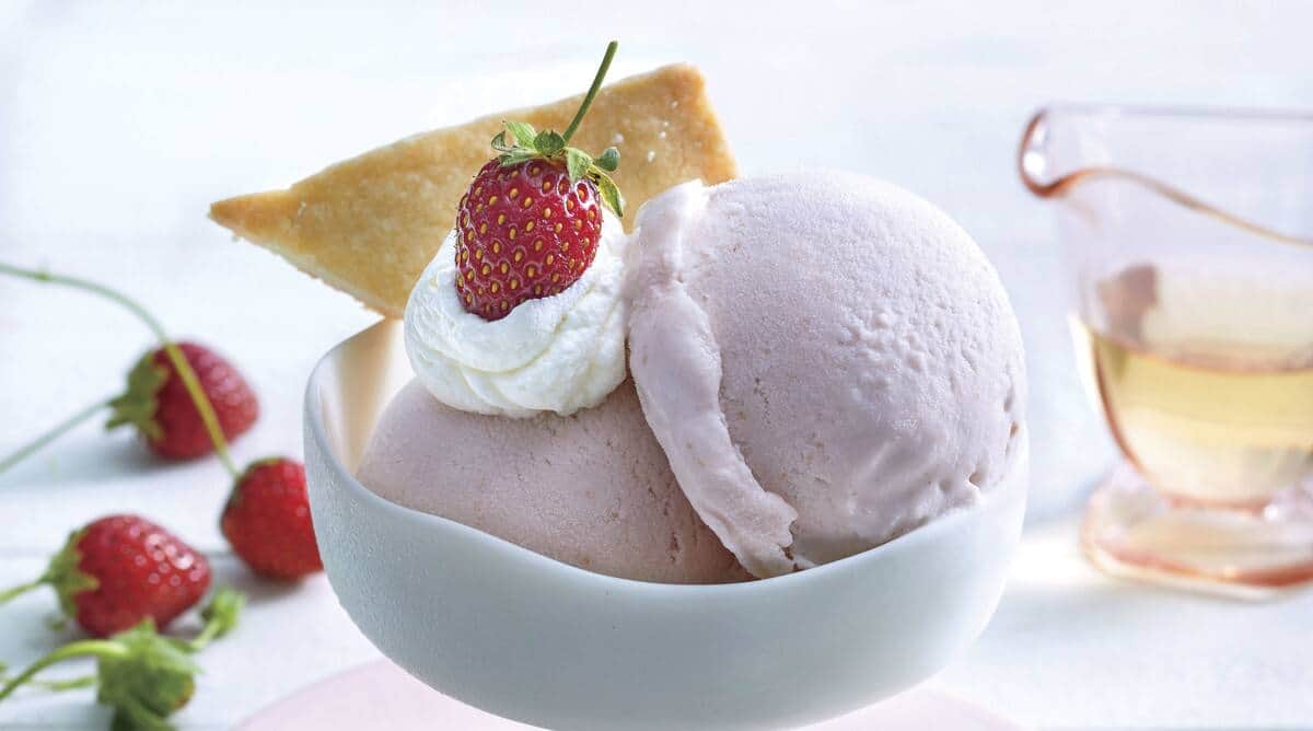 Menu of Gelato Vinto, Select Citywalk, Saket, New Delhi