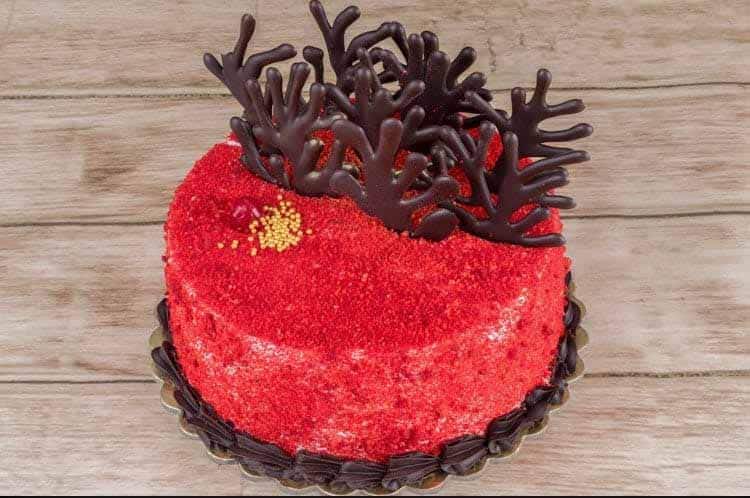 Cake Eat, Ayodhya Nagar, Nagpur | Zomato