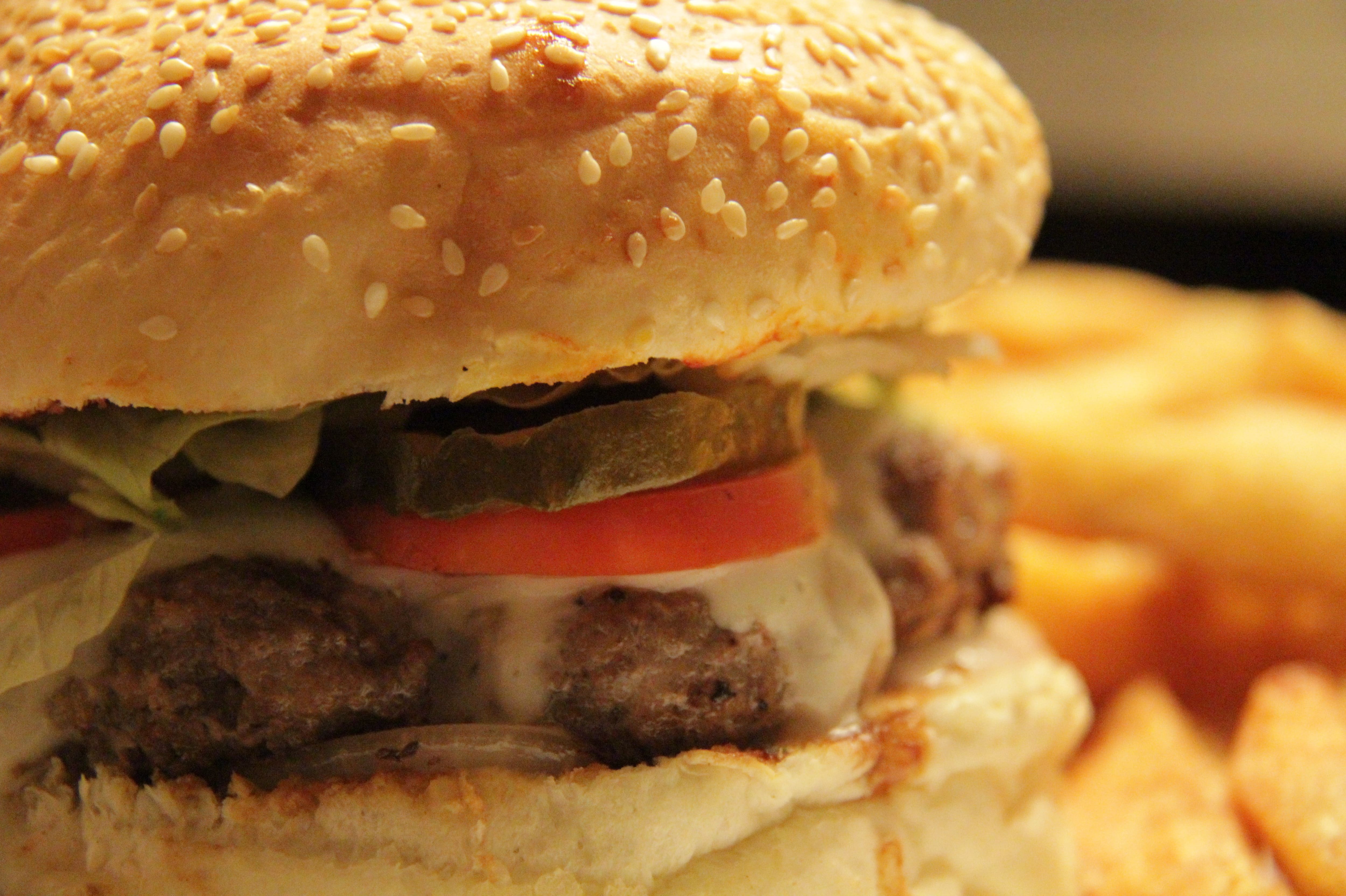 burgers, burger restaurants, best burgers, burger joints, cheeseburgers, chicken burgers, smash burgers, gourmet burgers, veggie burgers - Sakley's The Mountain Cafe - img5