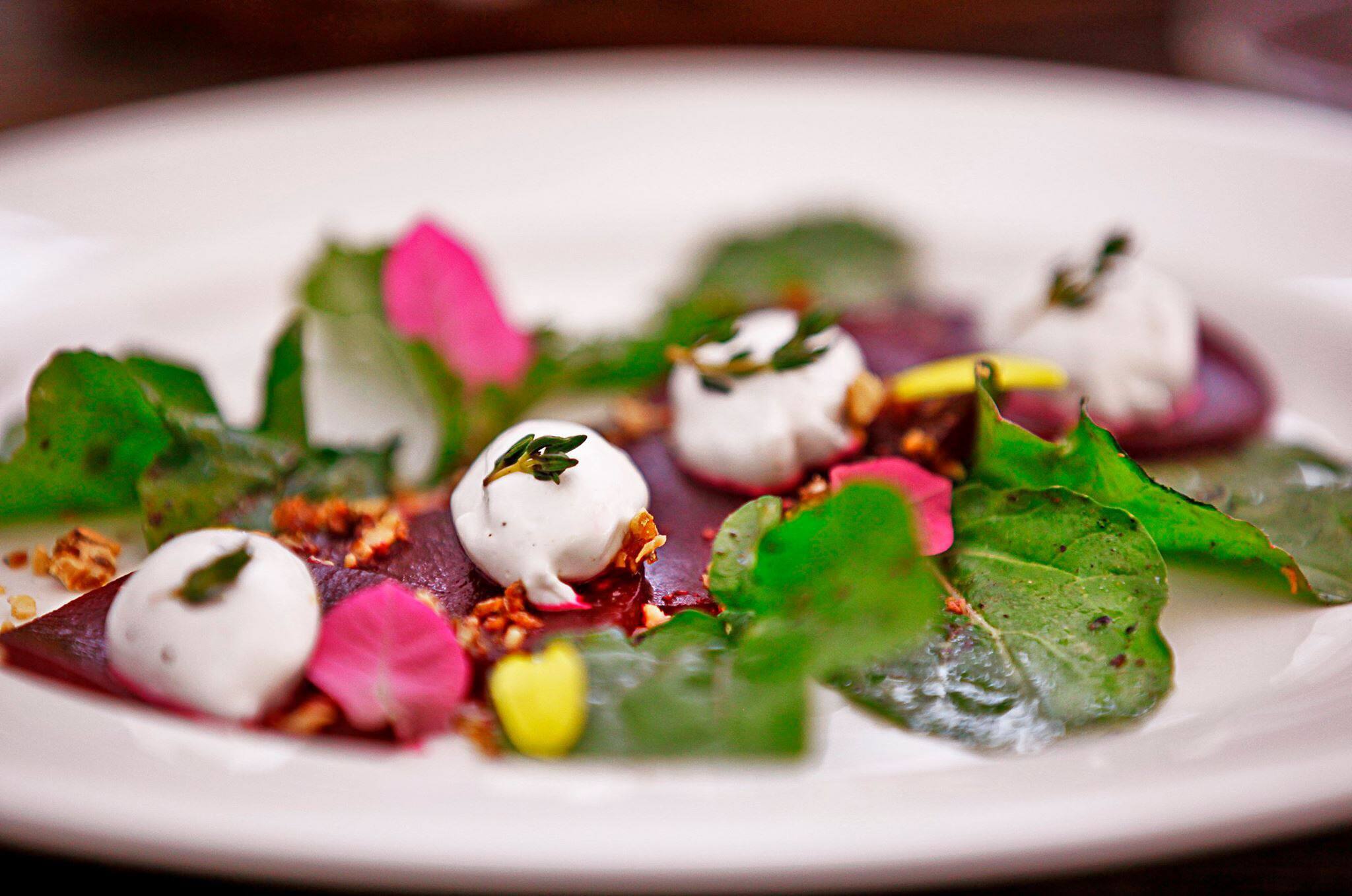 Photos of Olive Bistro, Pictures of Olive Bistro, Pune Zomato