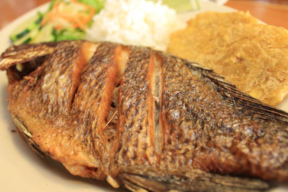 Mi Pueblito Restaurant Katy Houston