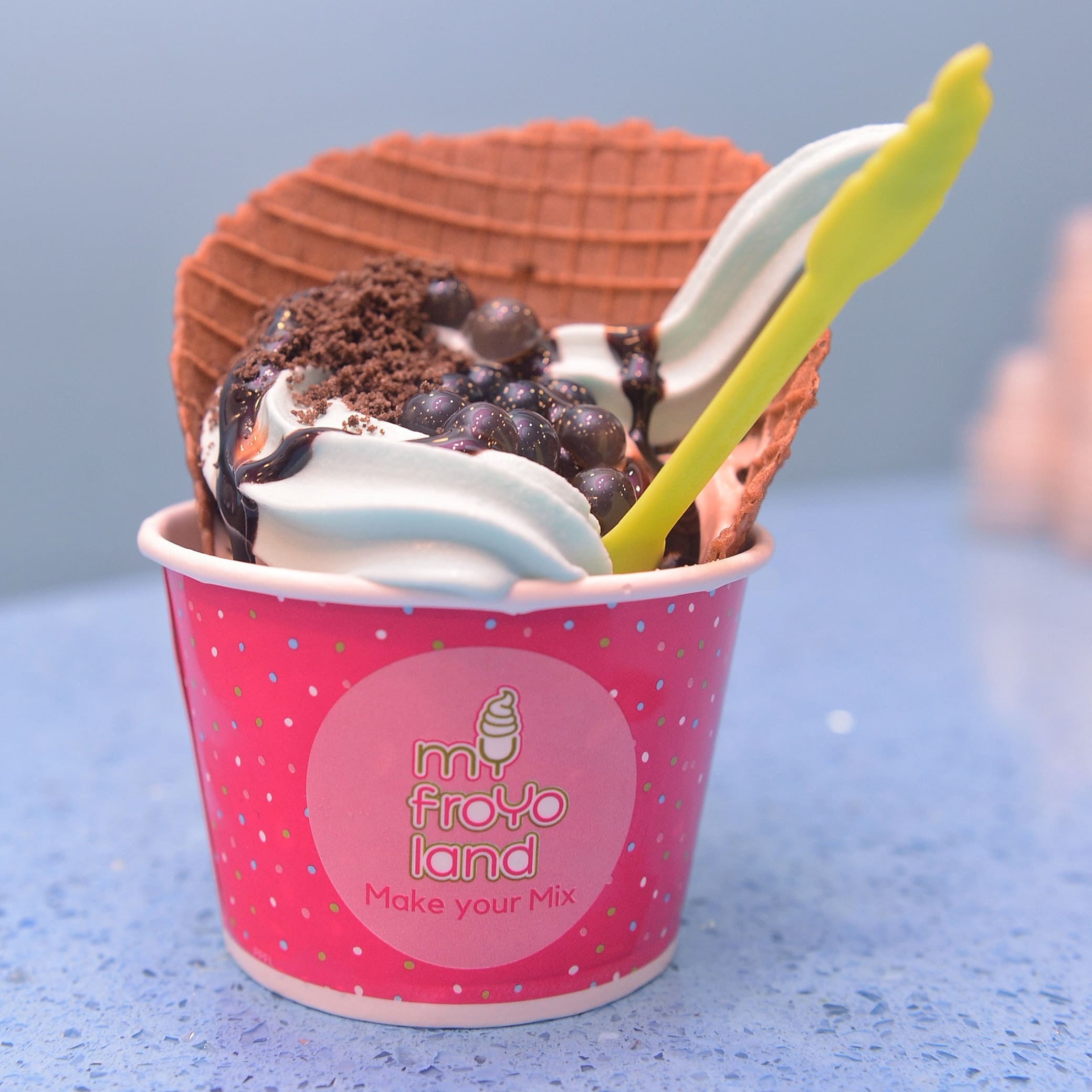 myfroyoland-premium-frozen-yogurt-anna-nagar-east-chennai-zomato