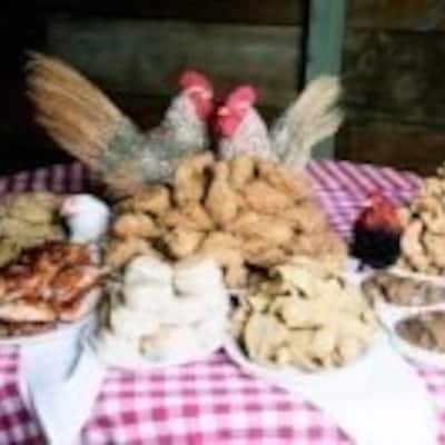 Babes Chicken Dinner House Arlington Arlington Urbanspoonzomato