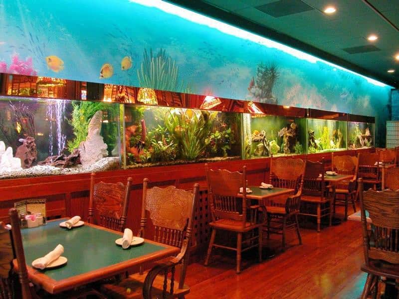 The Fresh Fish Co., Hampden South, Denver Zomato