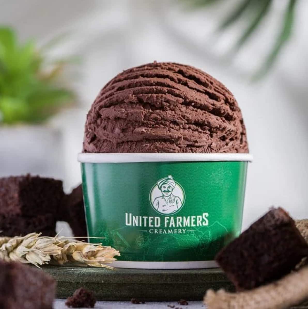 dessert places near me, ice cream near me, dessert near me, cheesecake - United Farmers Creamery - img4