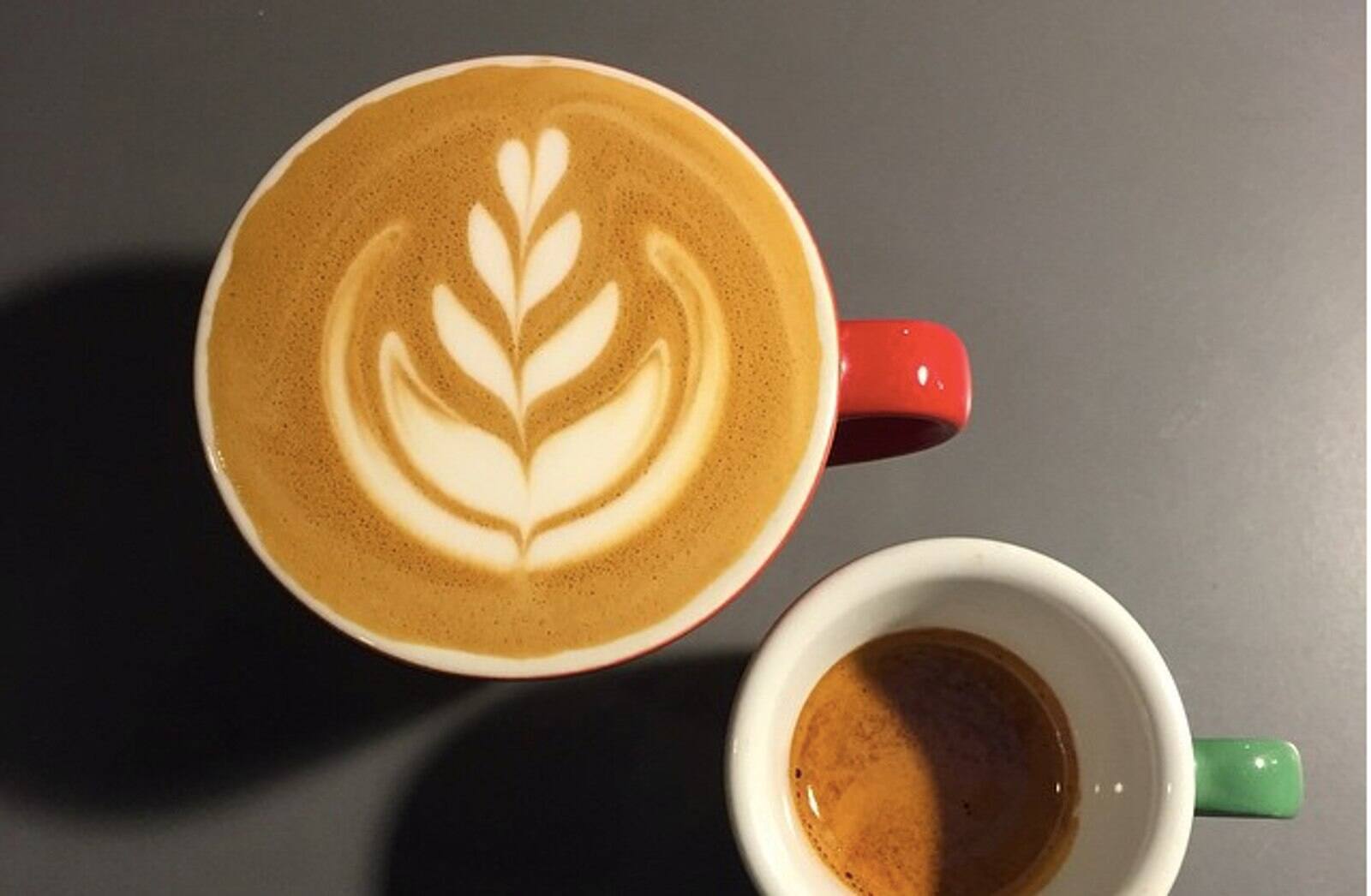 The Woolloongabba Social Club, Woolloongabba, Brisbane Zomato