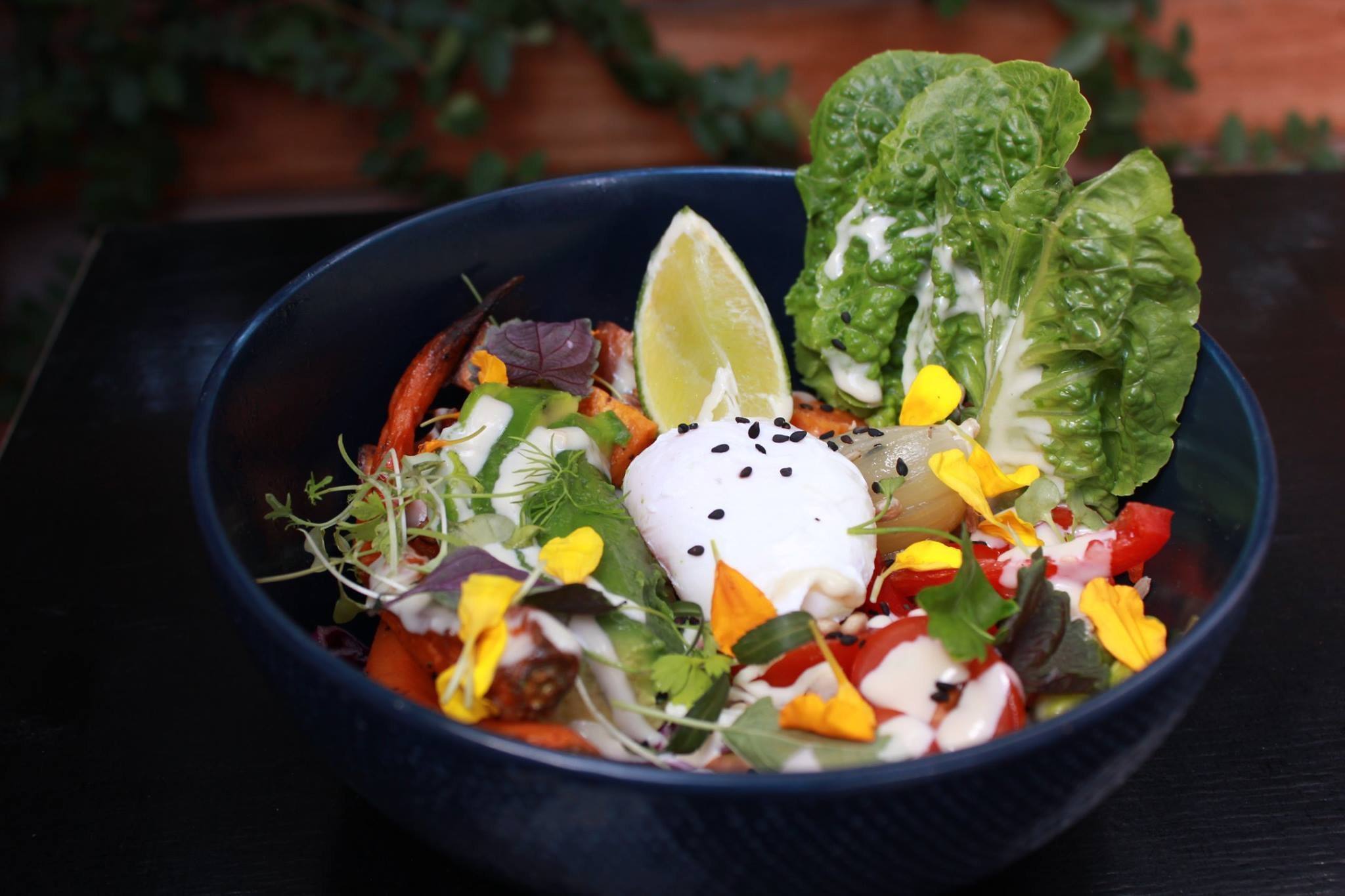 Republic Of Letters Balwyn Melbourne Zomato