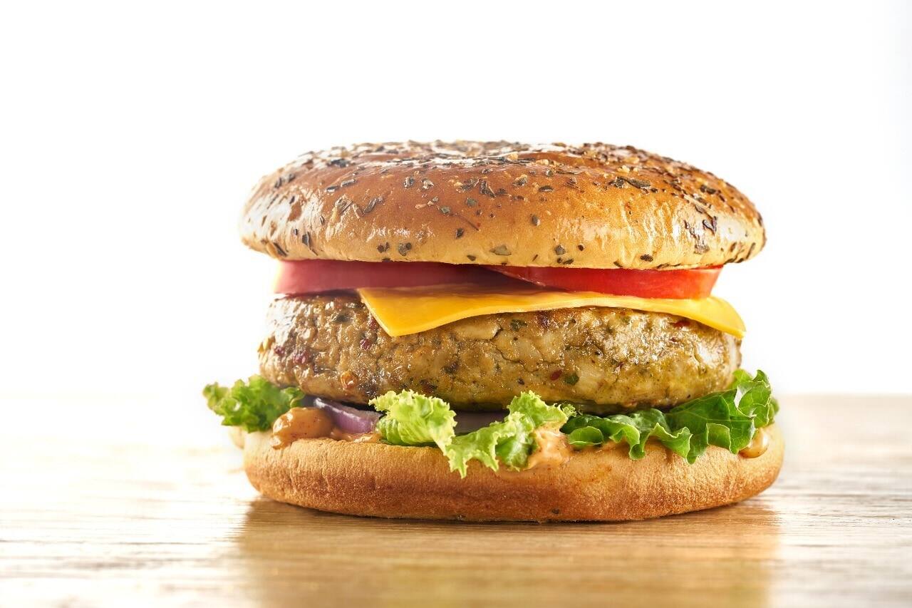 バーガー太郎 Burger Roarz | Sector 37, Chandigarh