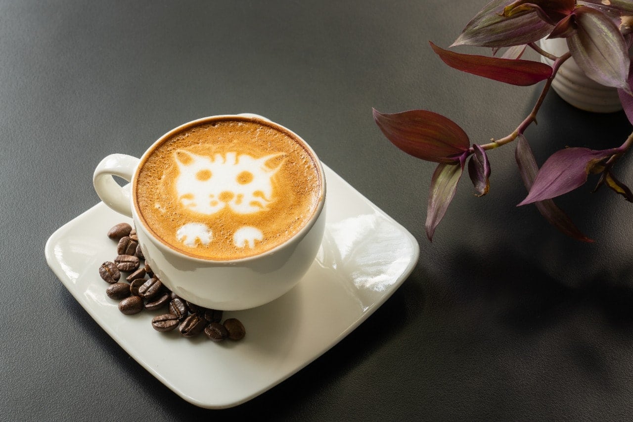 Paprika, BTM, Bangalore Zomato