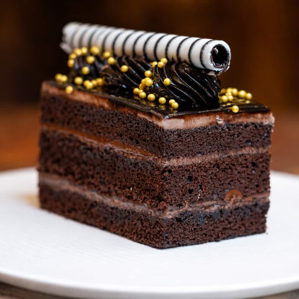 pet friendly places, pet friendly cafes, pet friendly dining, dog friendly restaurants, dog friendly cafes - Studio Cafe - img4