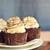 The Boston Cupcakery