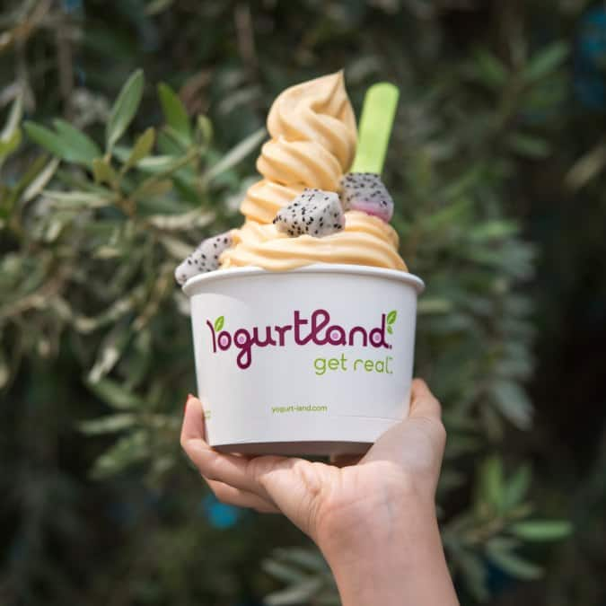 Yogurtland Downtown Dubai Dubai Zomato