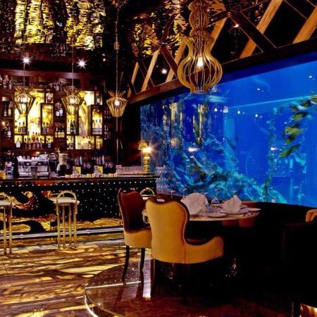 Restaurants In Aqua Florya Avm Senlikkoy Bakirkoy Istanbul Zomato Zomato Turkey