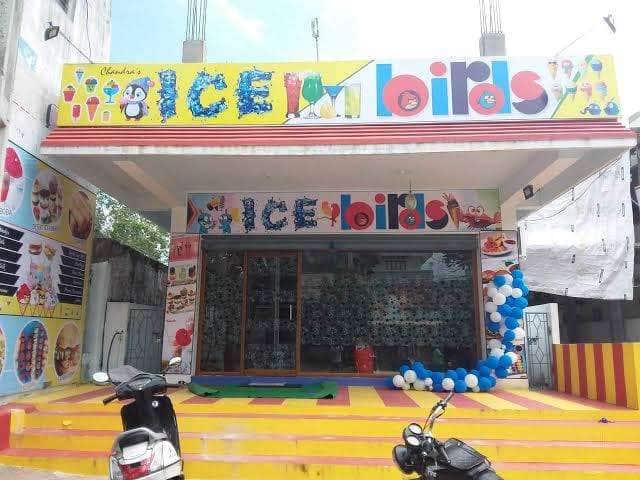 Chandra's Ice Bird's