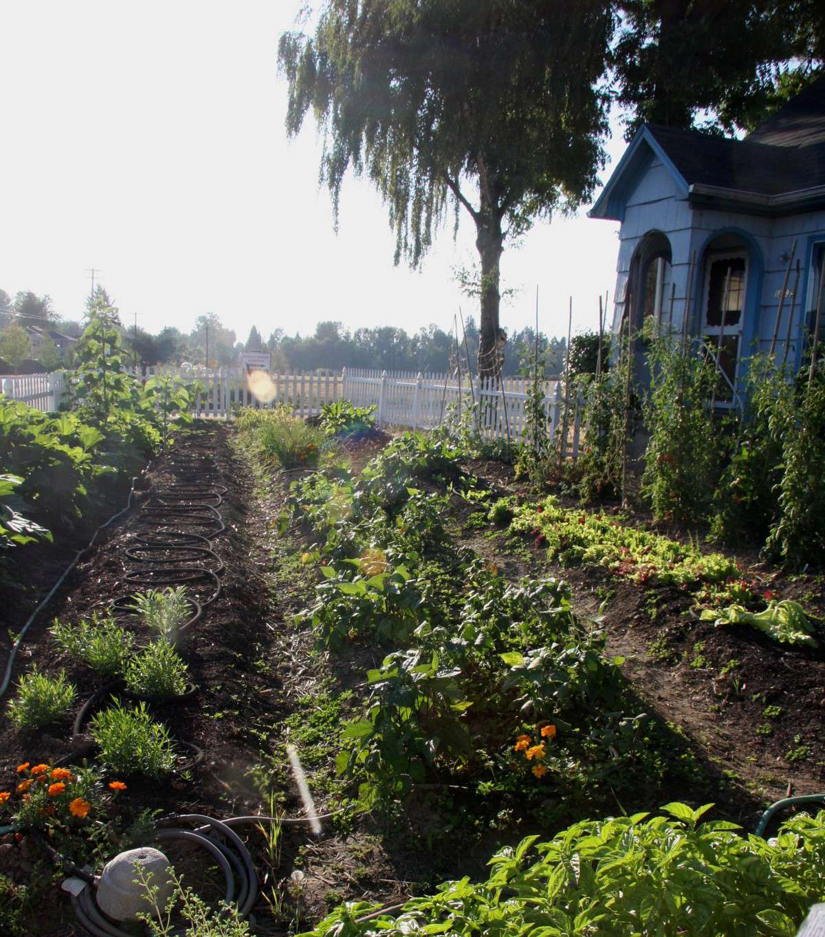 Rock Creek Corner, Cedar Mill/Northwest Heights, Portland Zomato