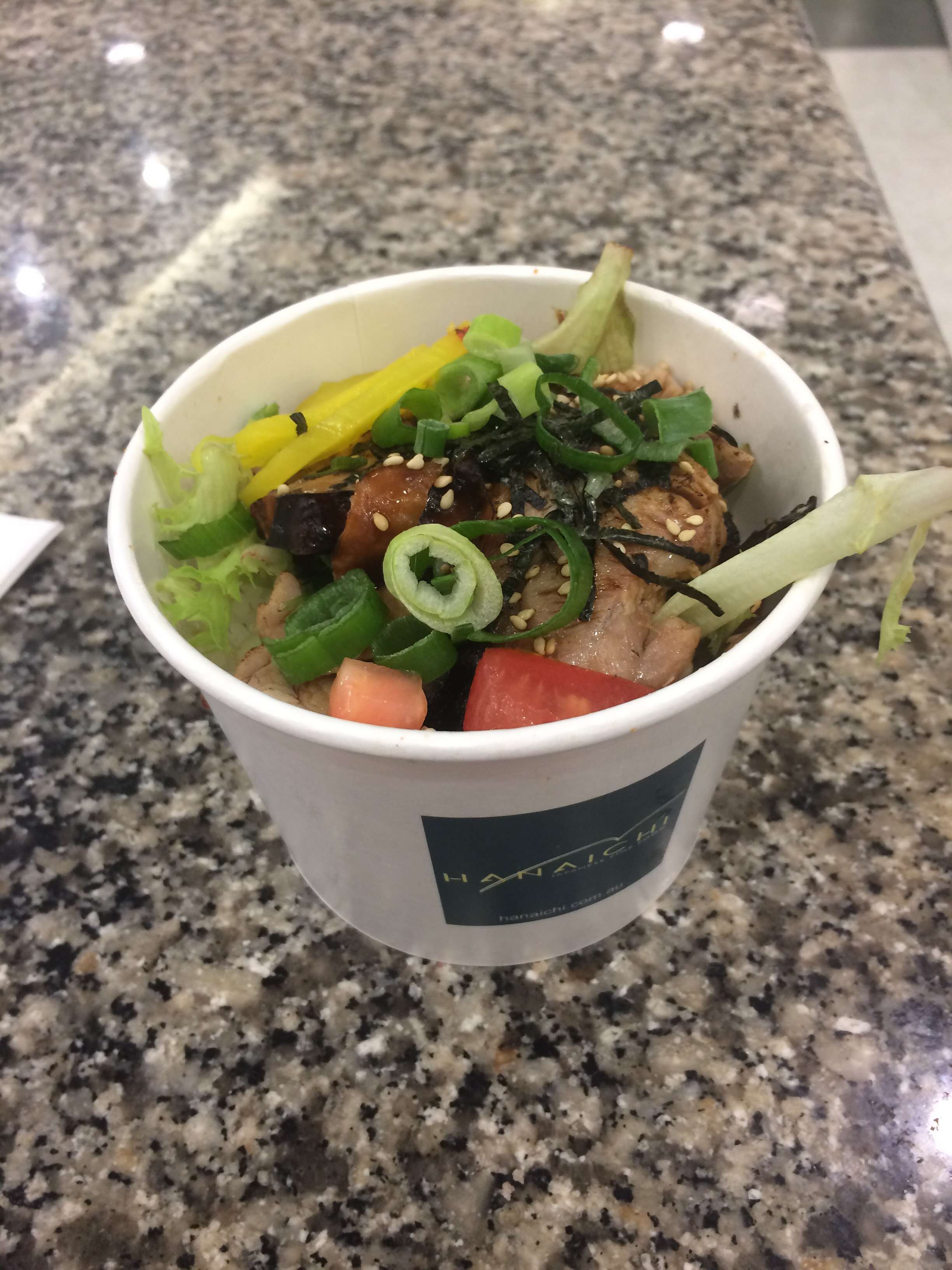 Menu of Hanaichi Japanese Fine Food, Indooroopilly, Brisbane