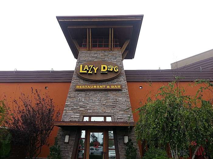 can you take your dog to lazy dog restaurant